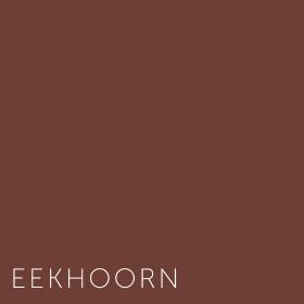 Kleuren Eekhoorn
