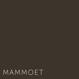 Kleuren Mammoet
