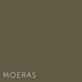 Kleuren Moeras
